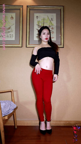 舞出精彩花井11期-8V-1.3G