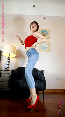 舞出精彩丽姐7期-8V-1.2G