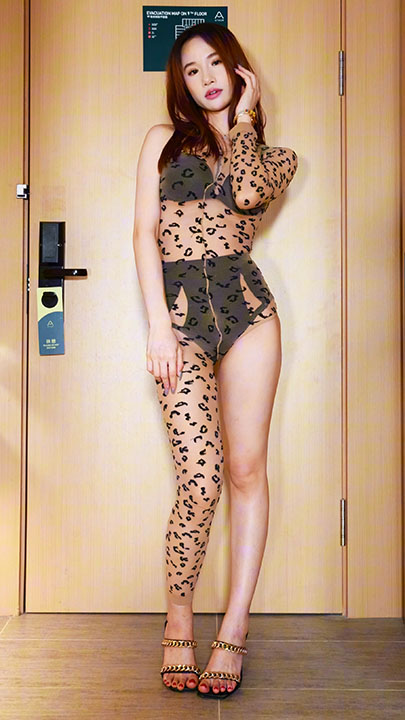 舞出精彩 美玥 第1期 5V-1.48全套